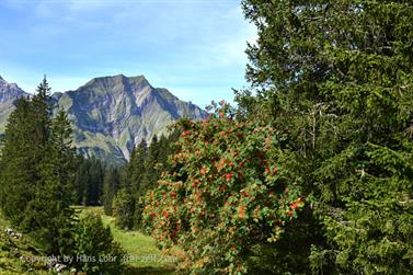 2020 09 10 Körbersee,_DSE_7732_b_488px